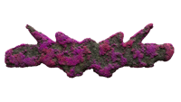 a pink and purple rock with horns on a black background